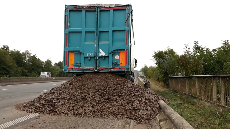 Vrachtwagen verliest lading lijnzaadkorrels na botsing op E17 in Waasmunster