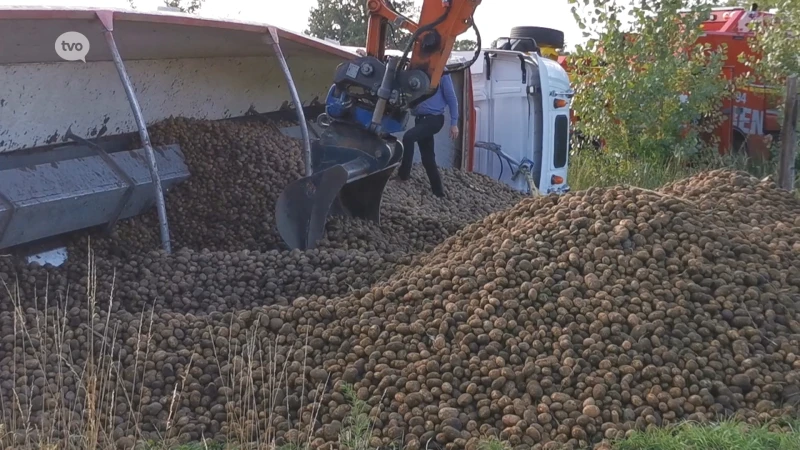 Vrachtwagen geladen met 25 ton aardappelen kantelt in gracht in Stekene