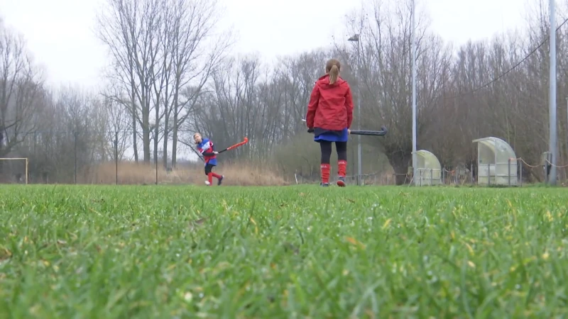 Rechtbank geeft Dendermondse hockeyclub gelijk: groen licht om het veld af te werken