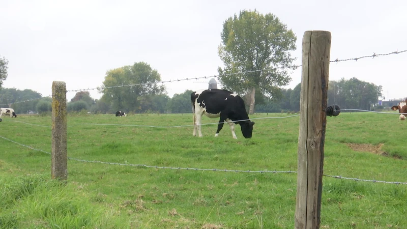 Grondenruil voor uitbreiding van parkgebied Cortewalle in Beveren