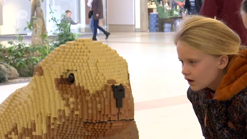 Bouwsteentjes populairder dan ooit: Legosculpturen palmen Waasland Shopping in