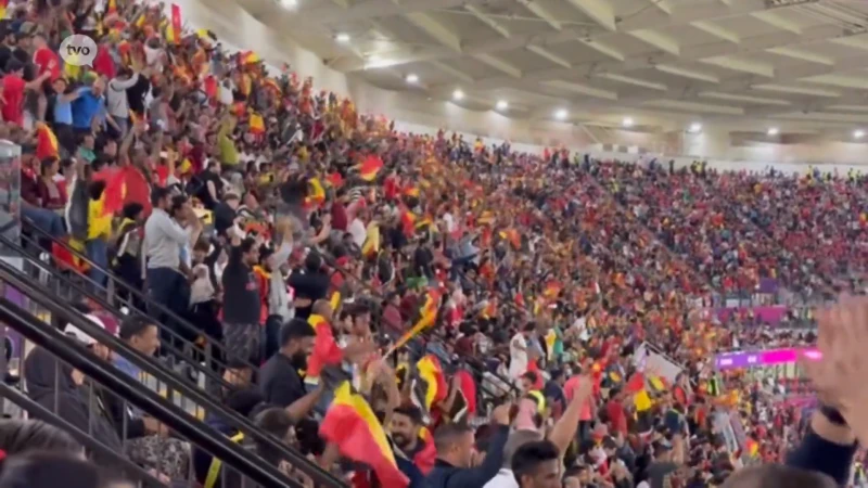 Geraardsbergse supporter in Qatar: "Rechtstaan in stadion verboden, sfeer nihil"