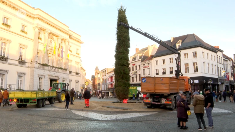 Kerstboom voor Aalsterse Grote Markt komt helemaal uit Stavelot