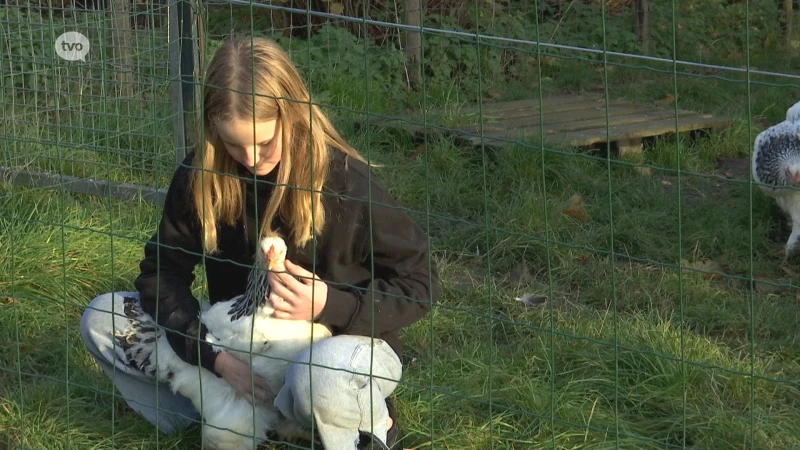 Jonge onderneemster uit Geraardsbergen opent dierenhotel en schenkt 500 euro aan kinderboerderij