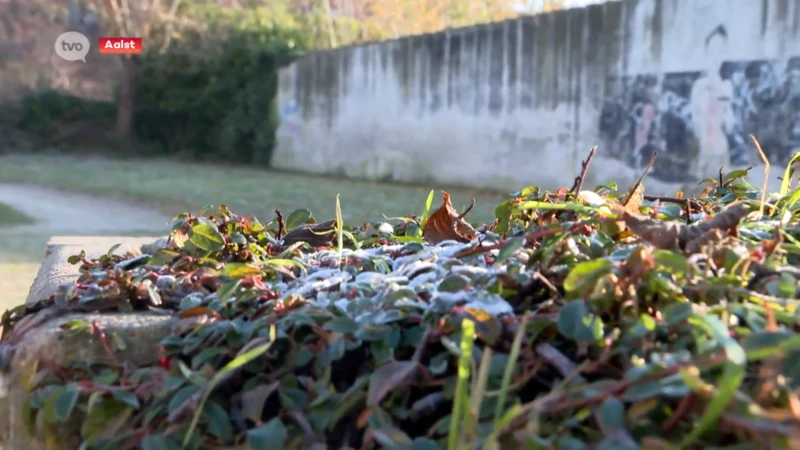 Vrieskou slaat toe: winteropvang Aalst is klaar voor op extra opvang van daklozen