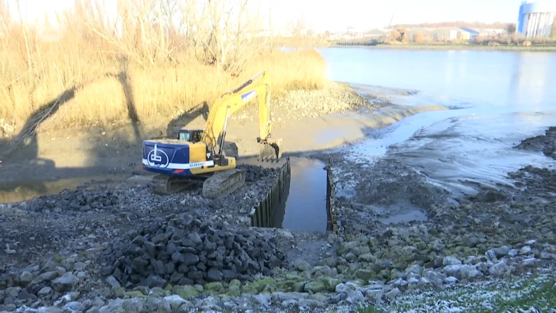 Waterinfiltratie bedreigt stevigheid van Scheldedijk in Bazel, Vlaamse Waterweg grijpt in