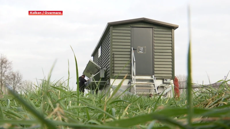 Kippenhouders houden dieren op stal uit voorzorg voor vogelgriep in Berlare