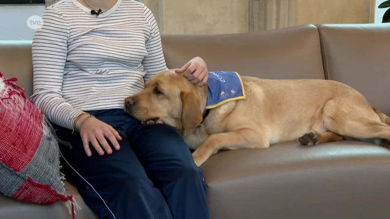 Maak kennis met Sam, de eerste zorghond van Vlaanderen: "Een hond oordeelt niet en zegt niks door aan anderen"