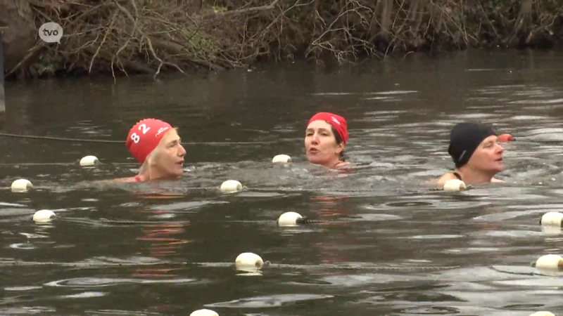 IJsberen duiken in water van amper 4 graden: "Maar het is gezond!"