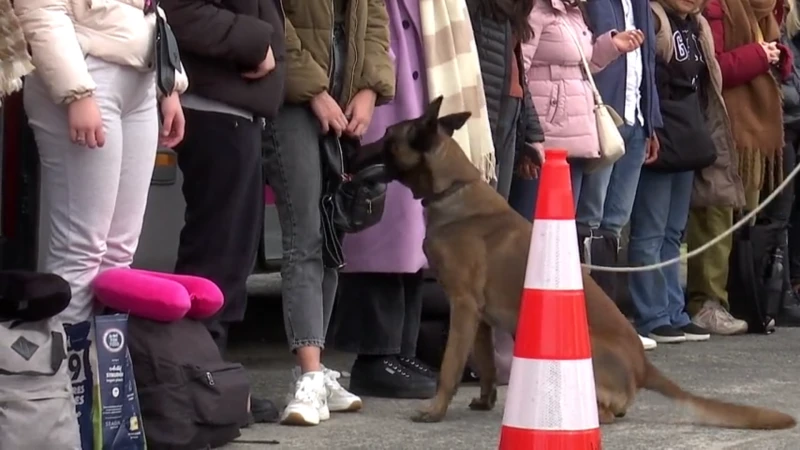 Douane en inspectiediensten voeren grote controleactie op E40