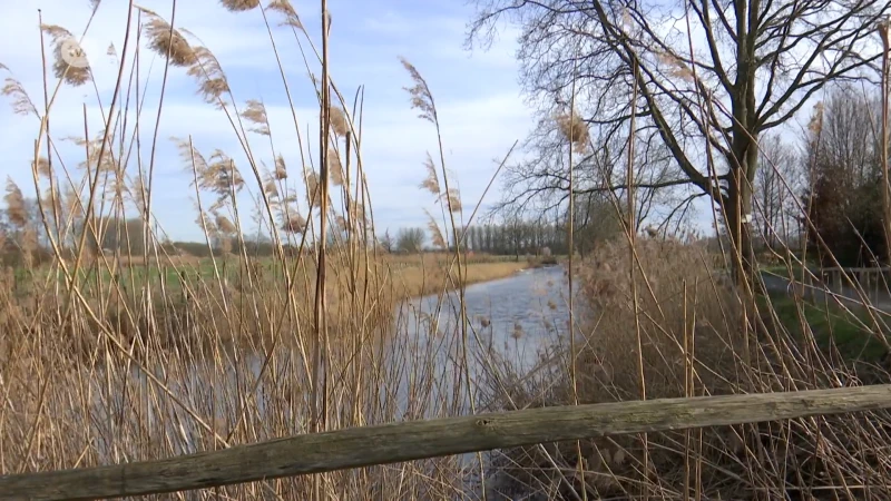 Levenloos lichaam aangetroffen in Kalkense Vaart