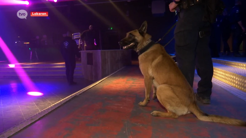 Politiehonden leren wennen aan luide muziek en lichtflitsen in voormalige Lokerse dancing