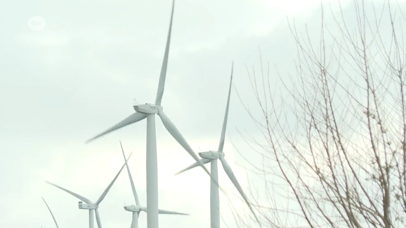 Protest tegen XXL-windmolens in Zele: "Slagschaduw zal tot centrum van gemeente reiken"