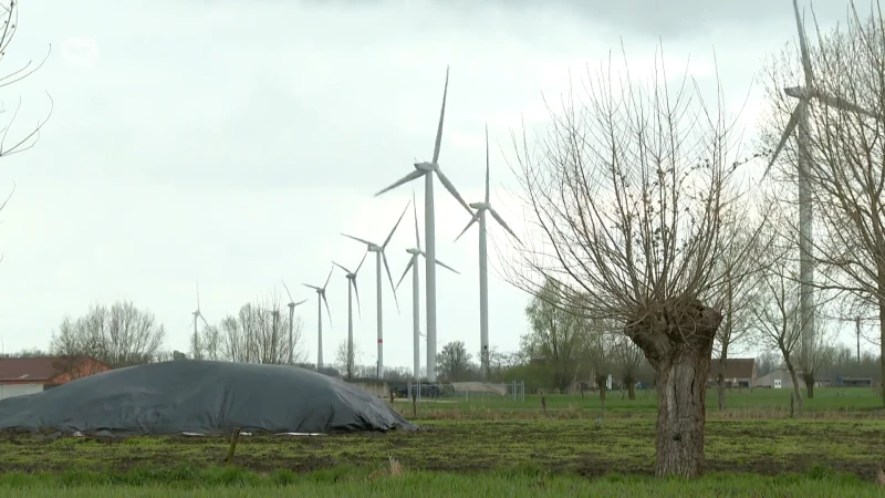 Zele geeft negatief advies voor nieuwe windmolens: "Wij missen als gemeente de knowhow"