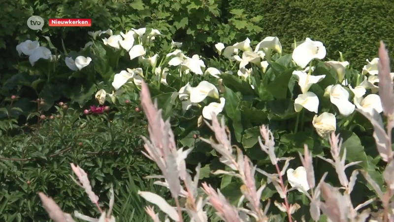 Tientallen gezinnen met groene vingers gunnen bezoekers blik in levenswerk tijdens Open Tuindagen