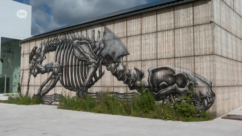 Nieuw werk van ROA in Hofstade: de kunstenaar tekende er het skelet van een das