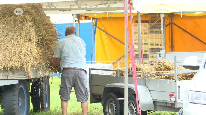 Organisatie Pikkeling houdt hart vast voor het weer: "Zonde van al dat werk"