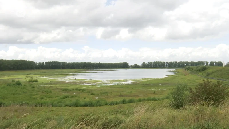 Werken zijn gestart aan bufferdijk, die Beverse polderdorpen moet afschermen van Waaslandhaven