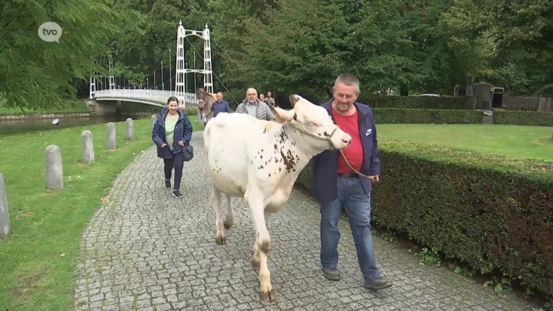 Provinciale fokveedag in Beveren verhuist naar de parktuin van kasteel Cortewalle