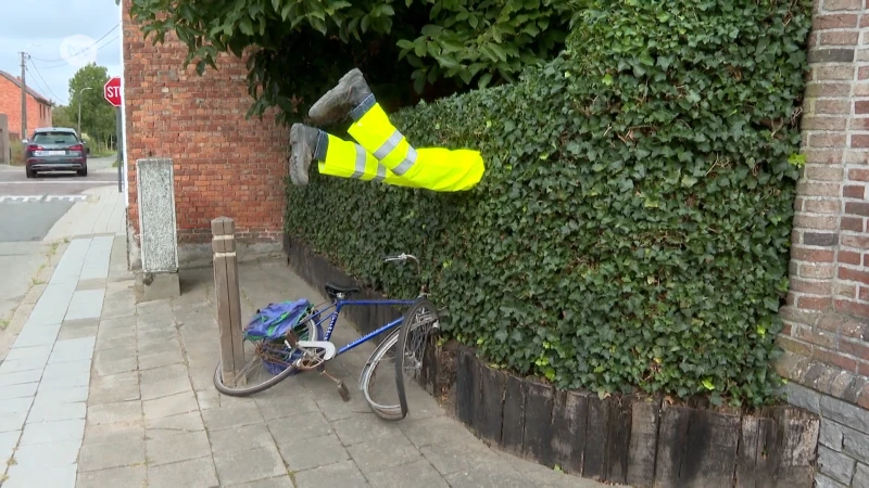 Zo pakt Temsenaar Hilaire het snelheidsprobleem in zijn straat aan: "Het heeft effect"