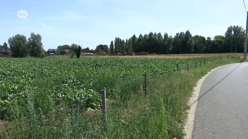 Boerenbond eerder bezorgd over erkenning Vlaamse parken: "Wij willen deel uitmaken van de parkbureaus"