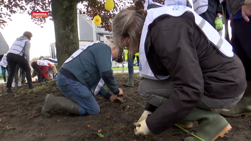 Rotary-afdelingen planten 2.500 tulpenbollen voor World Polio Day