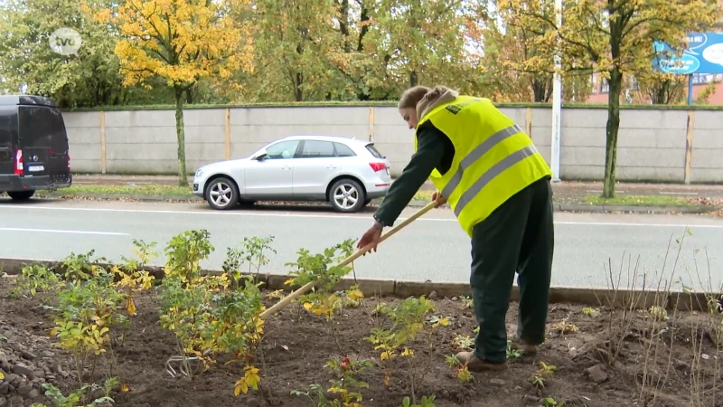 Leerlingen Broederschool Sint-Niklaas werken mee aan vergroening van grijze spoorwegbrug