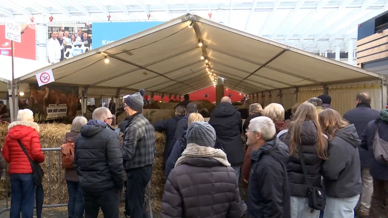 Houtem Jaarmarkt met Baskisch tintje lokt opnieuw veel volk: "We hebben al pintxos gegeten"