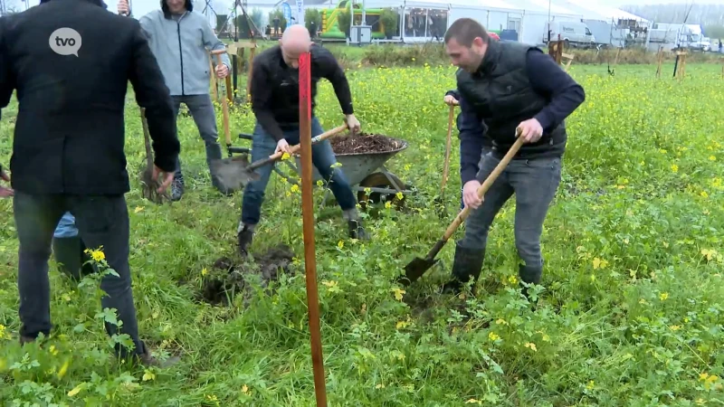 Havenbedrijf ADPO plant nieuw bos van 1.200 bomen in Stekene