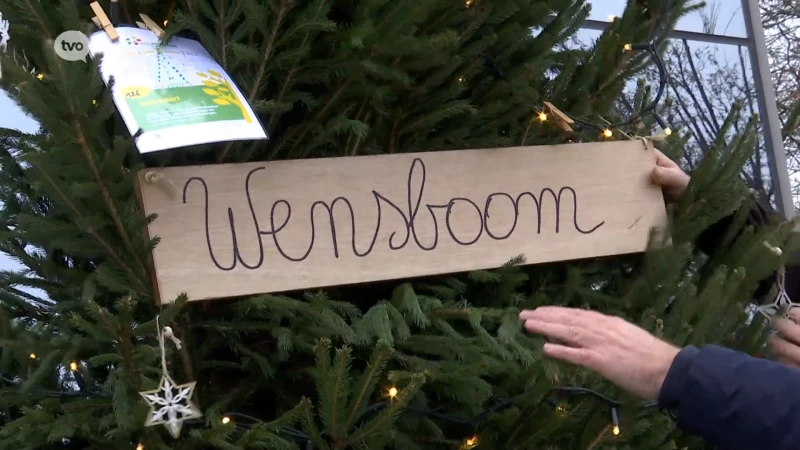 Berlare plaatst wensbomen om ieder kind een fijne kerst te bezorgen