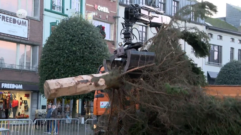 Aalsterse kerstboom na een halfuur al weggehaald: "Volledig scheve top en te veel gebroken takken"