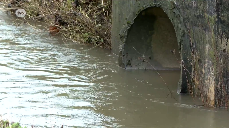 Waterpeil stijgt in Denderstreek: wateroverlast niet uitgesloten door hevige regenval