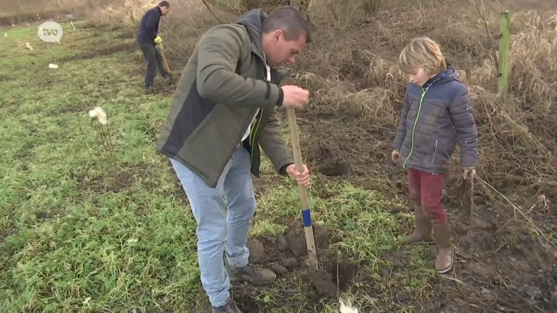Ouders planten gedenkbos aan voor overleden Ilias (2): "Dit is een ontlading"