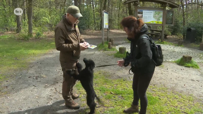 Controles Natuur en Bos: 1 op de 10 honden loopt niet aan de leidband in natuurgebieden