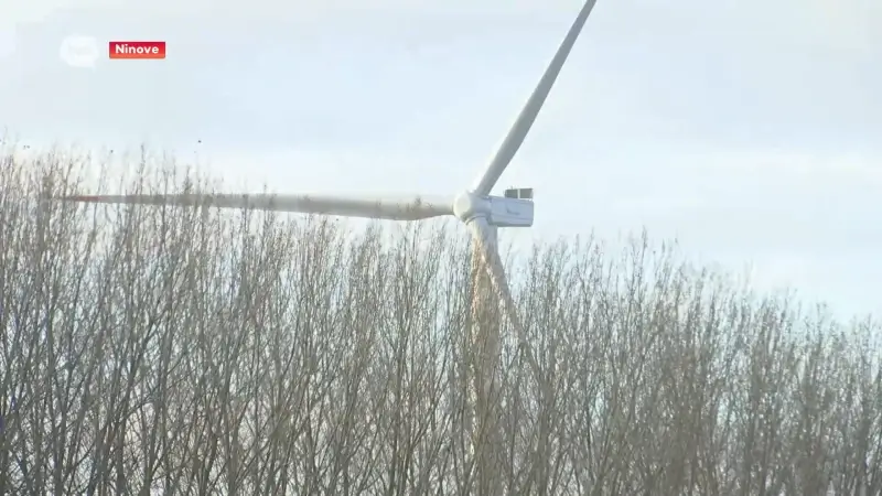 Stad Ninove gaat in beroep tegen Vlaamse vergunning voor windturbine aan Nederwijk-Oost