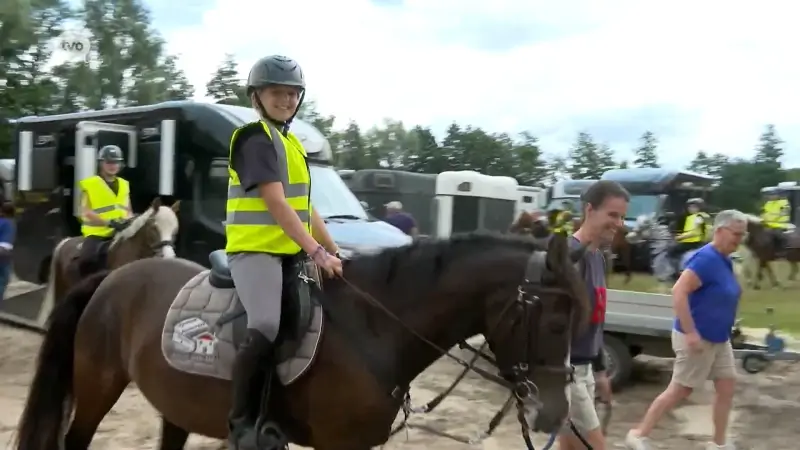 Ponykamp in Sint-Gillis-Waas lokt vijftig kleine ruiters: "Wat er zo leuk aan is? Alles!"