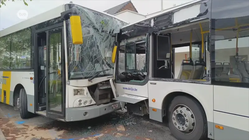 Frontale botsing tussen twee bussen De Lijn in Kieldrecht: rijbewijs van één chauffeur ingetrokken