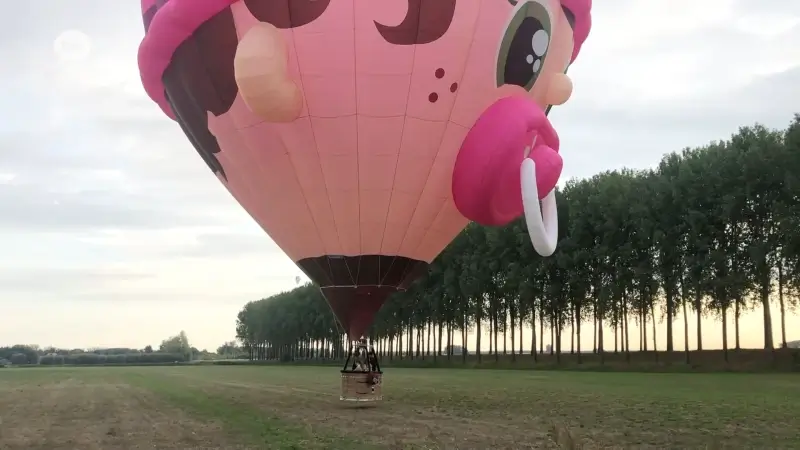 Beveren heeft met Beverenair een eigen ballonfestival