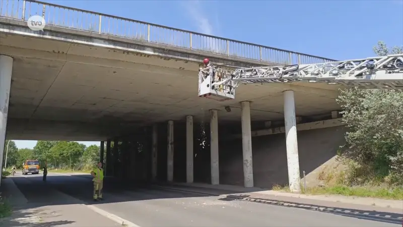 E17-brug over Neerstraat in Waasmunster brokkelt af, stukken beton vallen op rijbaan