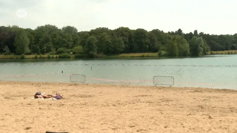 Blauwalgen in Sint-Niklaas zijn nog niet weg, Vooruit: "Maak het domein tijdelijk gratis"