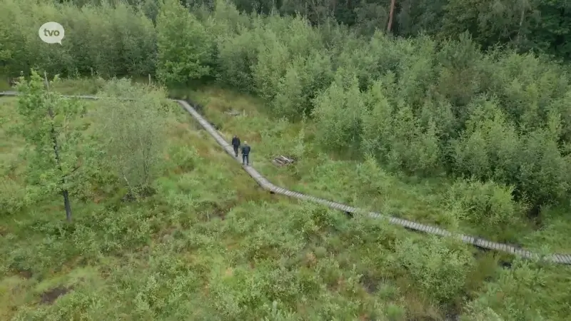 Zomertip - De Drongengoedbosroute