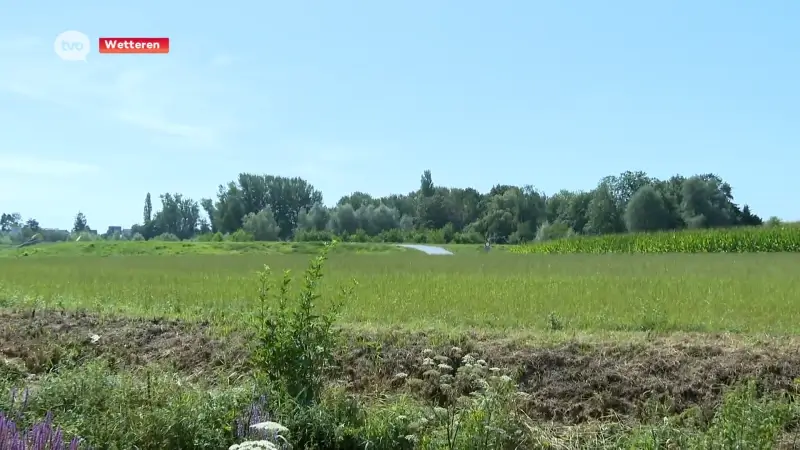 Actiecomité Brugverzet Wetteren in beroep tegen gemeenteraadsbeslissing