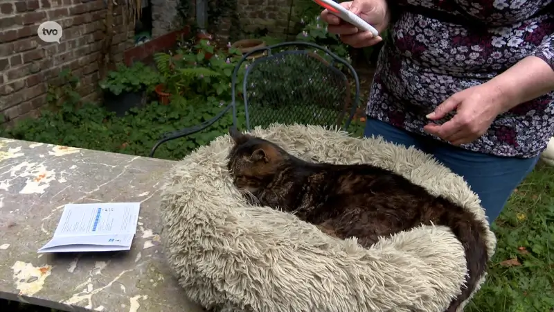 De waarschijnlijk oudste kat van het land wordt heel goed verzorgd in Herzele