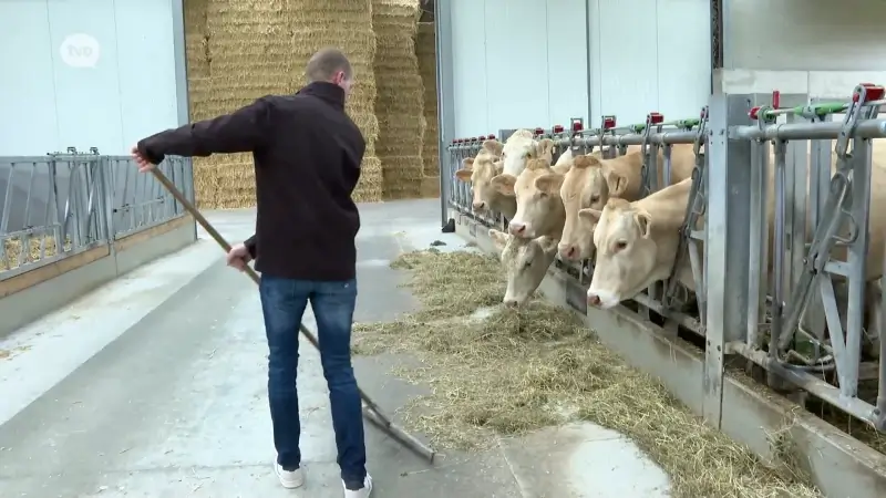 Grondbezit voor het eerst in kaart gebracht: één tiende van Oost-Vlaanderen is in publieke handen