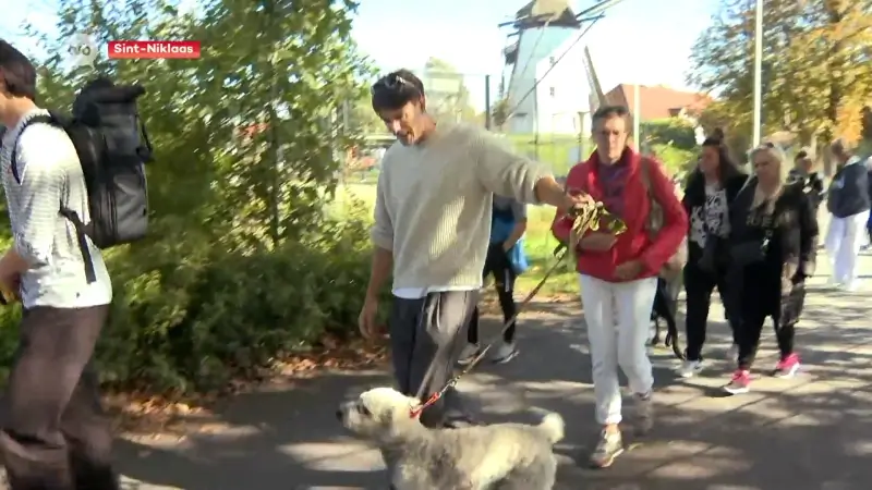 Conner Rousseau (Vooruit) pleit voor meer losloopweides in Sint-Niklaas tijdens hondenwandeling