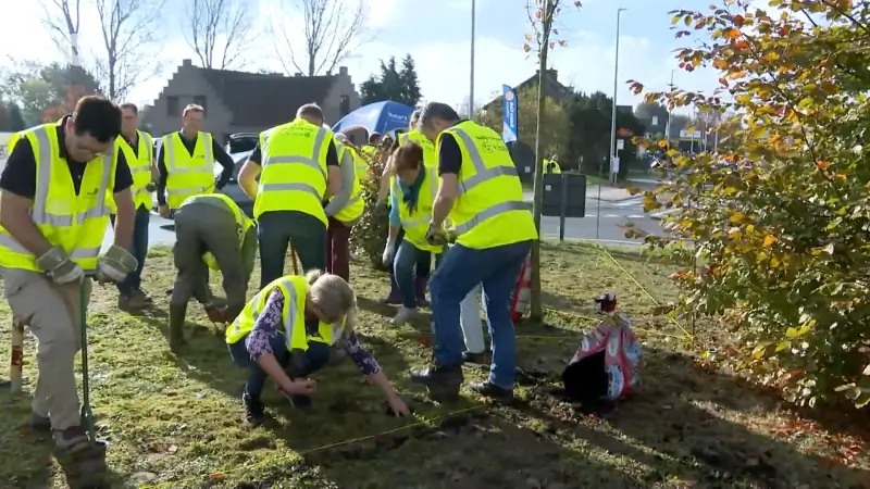 2.500 tulpen op de rotonde voor Wereld Polio Dag 