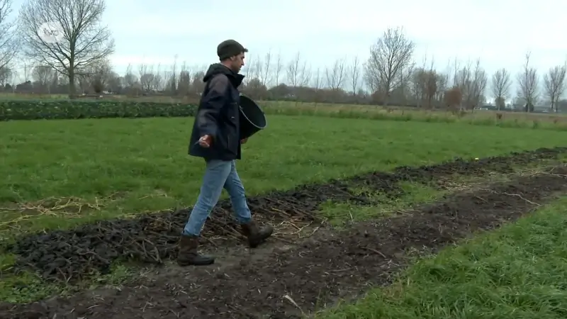 Ongerustheid bij startende bioboeren over afschaffing van Vlaamse subsidies voor opleiding