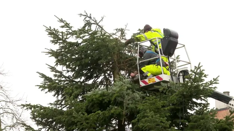 Kerstmis in mineur: kerstboom op Markt afgebroken om veiligheidsredenen