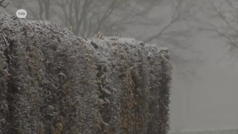 Eerste sneeuwval levert mooie beelden op, maar ook dooi zet snel in