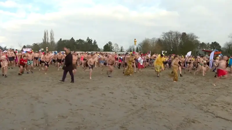 Wase Ijsberenduik lokt meer dan 800 deelnemers naar De Ster in Sint-Niklaas